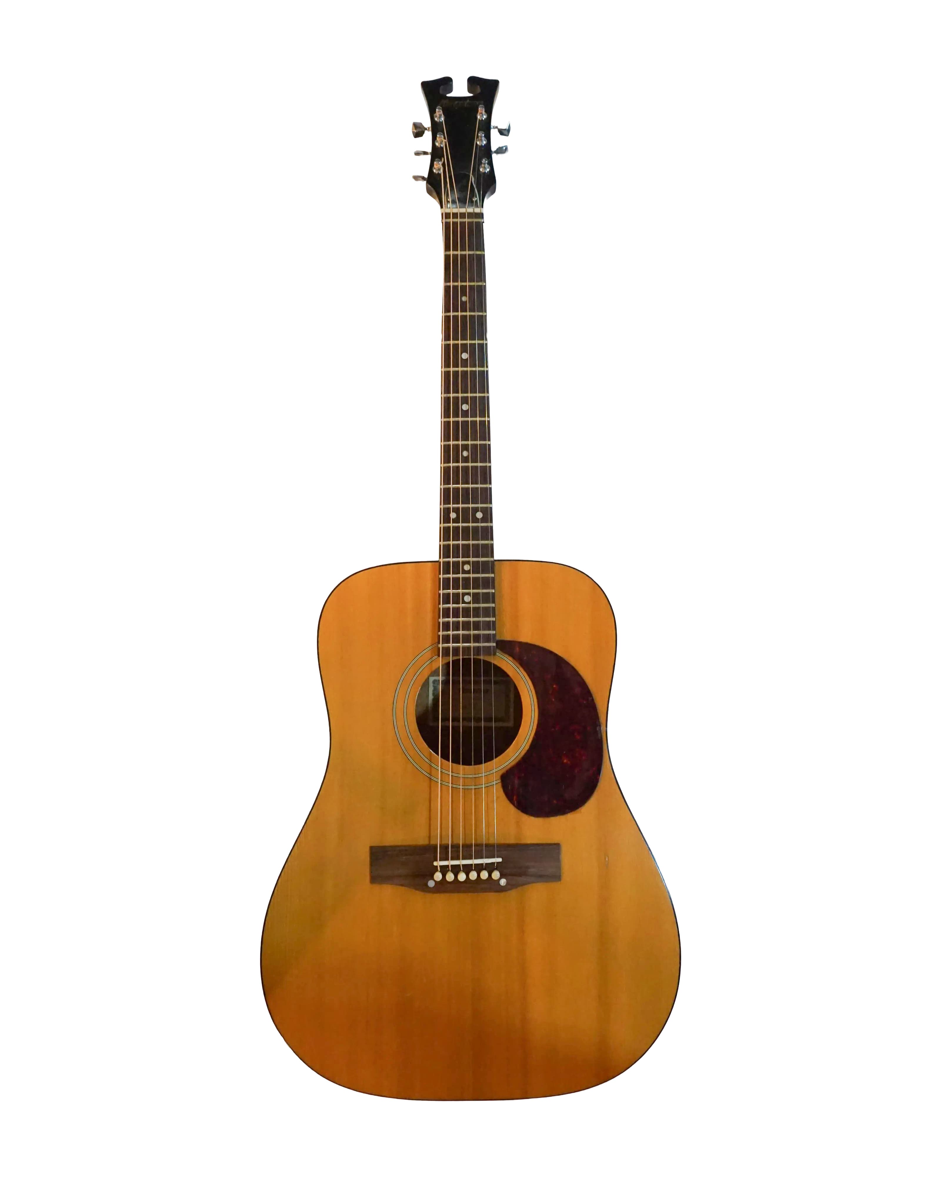 Harptone E-6N Acoustic